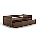 Urban Ladder Alita Storage Full Drawer Coffee Table (Finish : Walnut ...