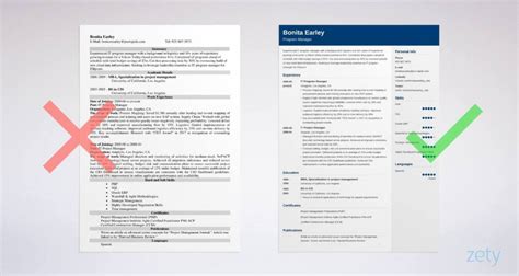 Image result for Program Manager Objective Statement Resume