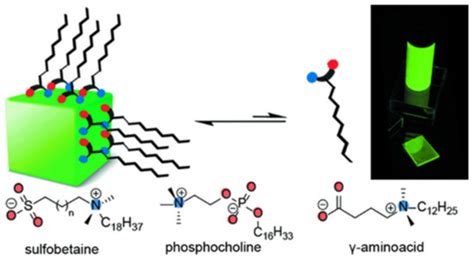 Application of Perovskite Nanocrystals as Fluorescent Probes in the ...