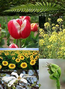 Guess the meaning! Flashcards | Quizlet