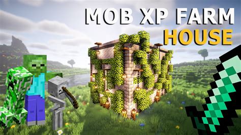 Image result for Java Exp Farms