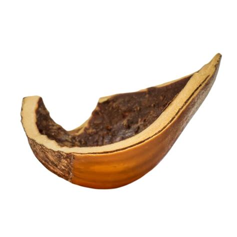 Image result for Empty Hazelnut Shell