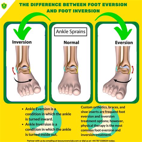 FOOT EVERSION AND FOOT INVERSION - M. Hussein