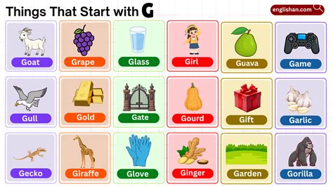 500 Things That Start with G – Foods, Animals, Objects