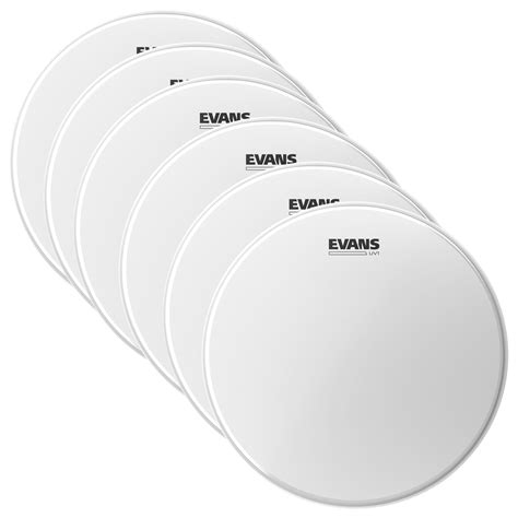 Evans 14" UV1 Coated Head (6 Pack Bundle) – Chicago Music Exchange
