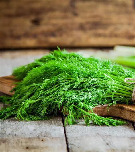 Cranberry Juice During Pregnancy: 6 Key Benefits & Safety Tips