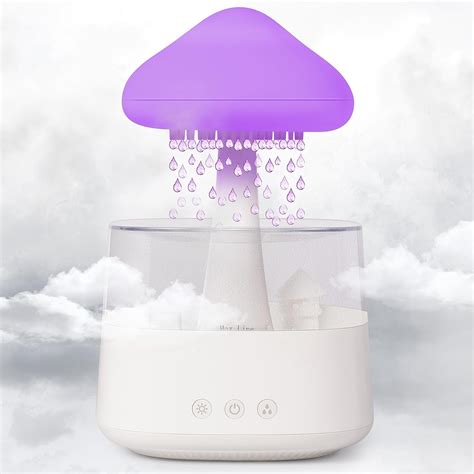Rainmaker Humidifier 的图像结果