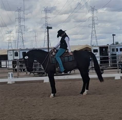 Heber Overgaard Community Page. | As of 1120 am Single horse on the ...