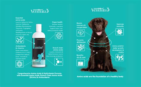 Buy Venttura Omega (150 ml) & Amino (150 ml) | Omega 2,3,6,7,9 ...