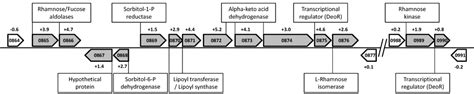 Life | Special Issue : Extremophiles and Extreme Environments
