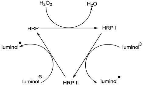 Flow Injection Chemiluminescent Immunoassay for Carcinoembryonic ...