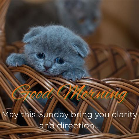 60 + Happy Sunday Good Morning Blessings Images and Quotes