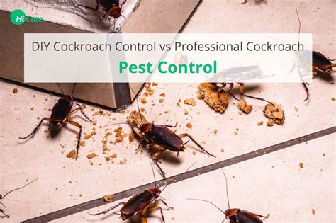 DIY Cockroach Control Vs. Professional Cockroach Pest Control – HiCare ...