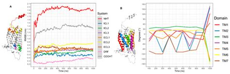 Behavior of Chemokine Receptor 6 (CXCR6) in Complex with CXCL16 Soluble ...