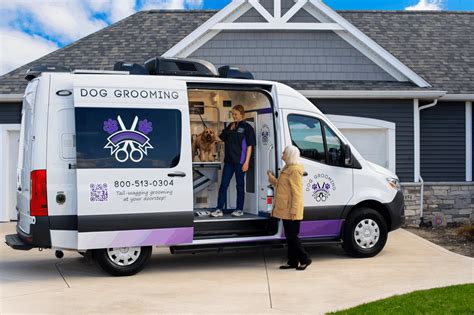 Amazing Tips To Know for Mobile Dog Grooming - Wag'n Tails