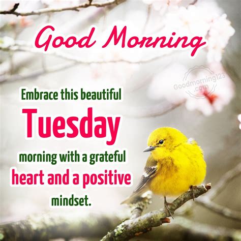 Beautiful Tuesday Morning Quotes