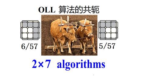 Oll Tutorial 的图像结果