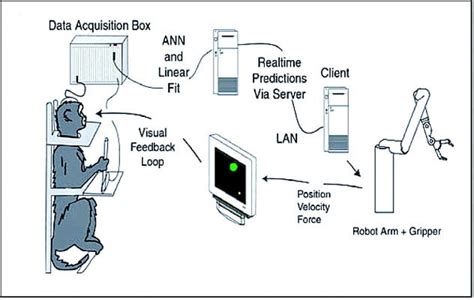 Brain Computer Interface LSI 的图像结果