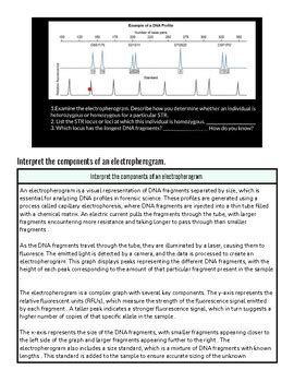 Image result for Electropherogram vs Chromatogram