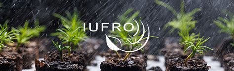 IUFRO - 6th IUFRO 2.09.02 Conference: The might of vegetative ...