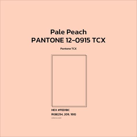 Pale Peach Color