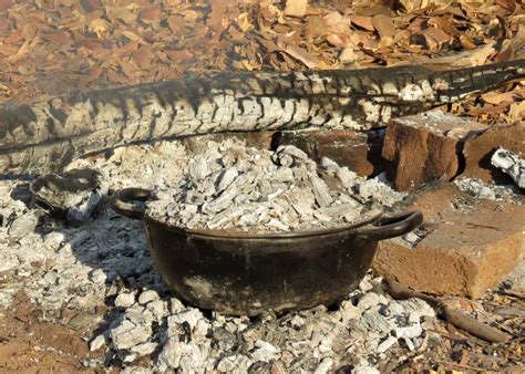 Taste Life Bush Cooking 的图像结果