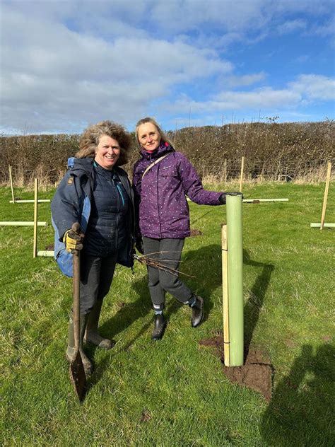 Tree-Planting Day 的图像结果