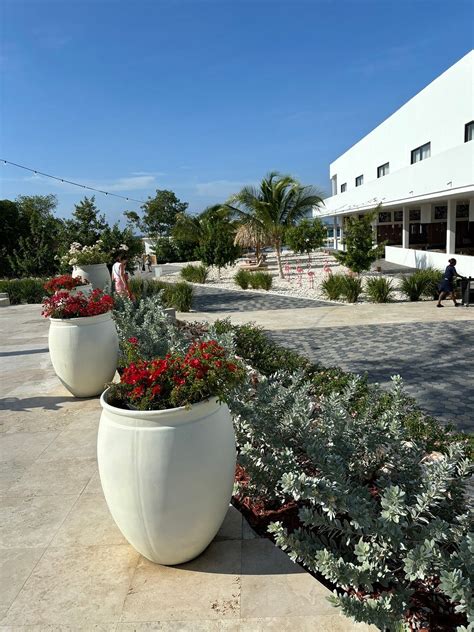 THE RIF AT MANGROVE BEACH CORENDON CURACAO ALL-INCLUSIVE, CURIO BY ...