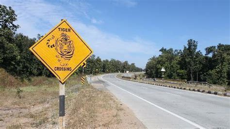 On wildlife on highways - Overdrive