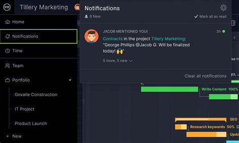 Image result for Project Manager Software