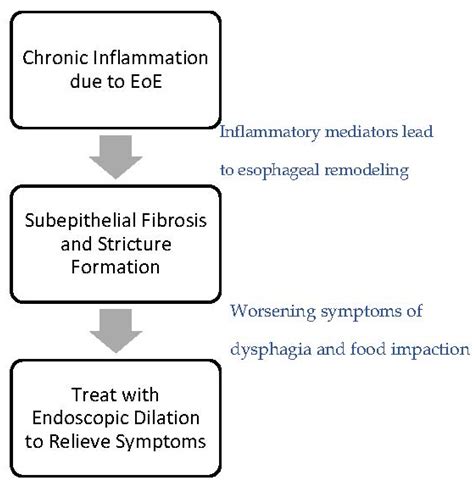 Exploring Treatment Options for Eosinophilic Esophagitis