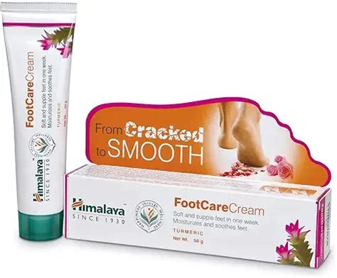 11 Best Foot Creams in India to Keep Your Feet Happy [August, 2024]