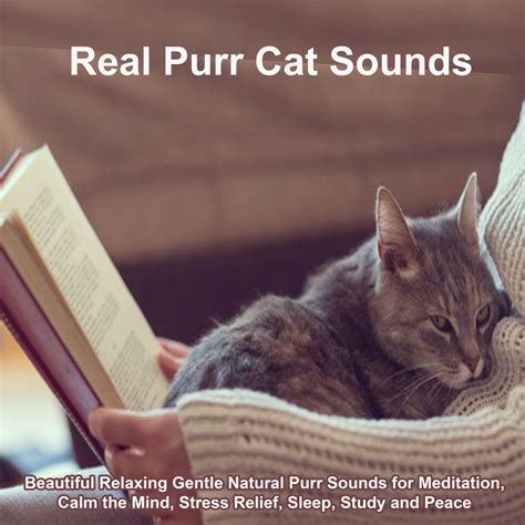 ‎Real Purr Cat Sounds (No Pc or Syntheziser Sounds) [Beautiful Relaxing Gentle Natural Purr ...