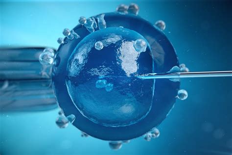 Regenerative Cell Therapy for Knees & Shoulders Jacksonville,FL