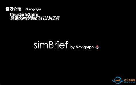 Simbrief Tutorial 的图像结果
