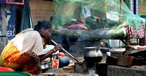 Unjust to call homeless persons ‘parasites’ seeking freebies: Ex ...
