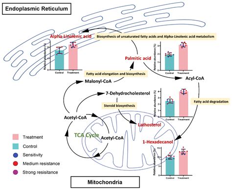 Toxicity of Ethyl Formate to Tribolium castaneum (Herbst) Exhibiting ...