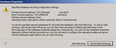 What Is Mirroring in SQL Server 的图像结果