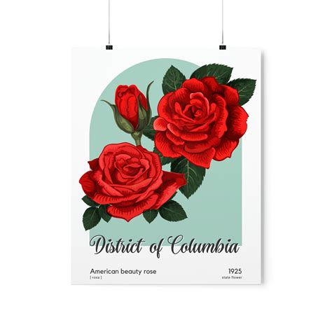 American National Flower