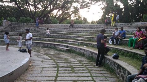 Semmozhi Poonga (Chennai) - What to Know Before You Go (with Photos ...