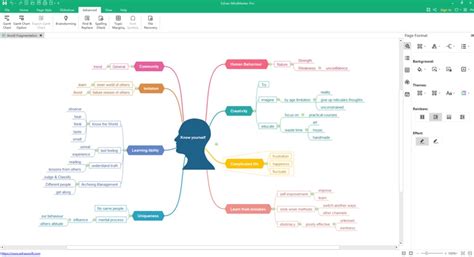 亿图脑图如何添加概要-亿图脑图mindmaster添加概要大括号的方法教程 - 极光下载站