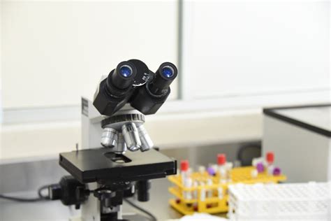 Lab Microscope 的图像结果