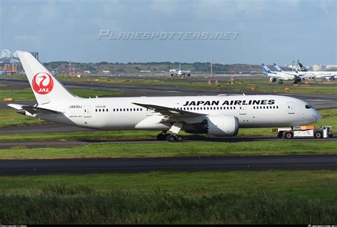 JA830J Japan Airlines Boeing 787-8 Dreamliner Photo by UIshots | ID ...