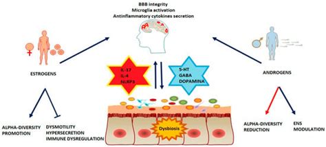 Gut–Brain Axis: Focus on Sex Differences in Neuroinflammation
