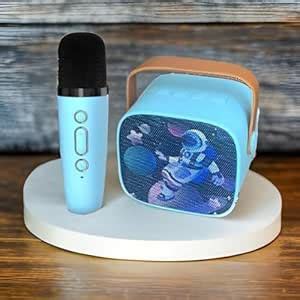 LavEarth Kids Karaoke Portable Machine -Bluetooth Speaker with 1 ...