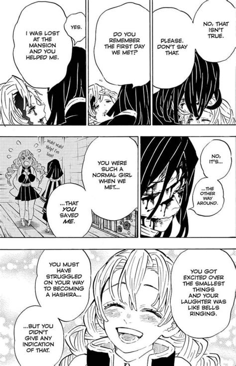 The Best 14 Demon Slayer Obanai And Mitsuri Death Chapter ...