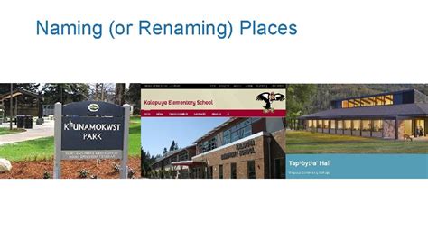 Native American Tribes Revitalization Efforts And Resilience