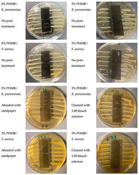 Antiviral and Antibacterial 3D-Printed Products Functionalised with ...