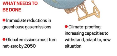 Greater Adjutant Storks (Garuda)