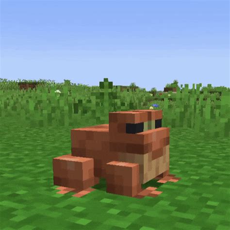 Image result for Minecraft Live Frog